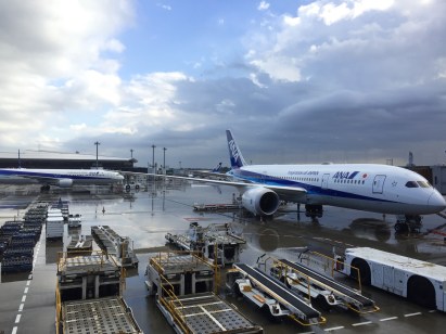 ANA at airport